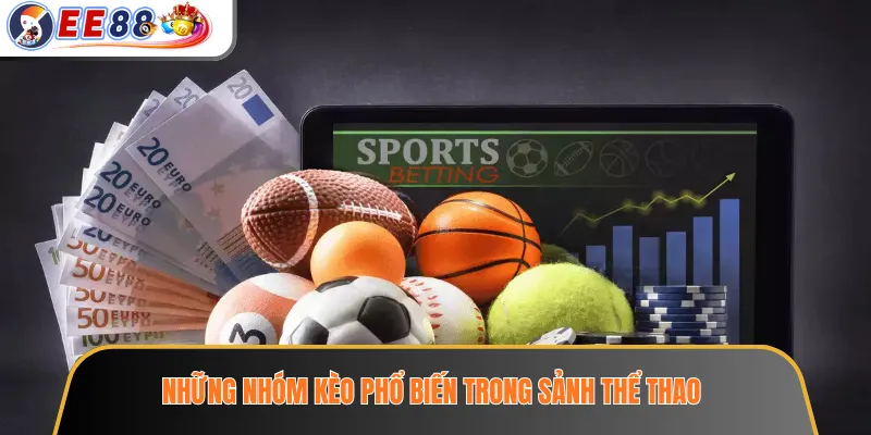 Những nhóm kèo phổ biến trong sảnh thể thao